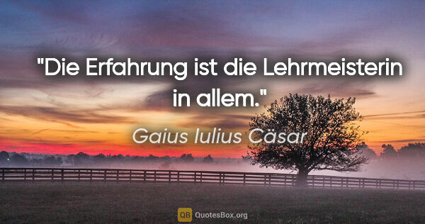 Gaius Iulius Cäsar Zitat: "Die Erfahrung ist die Lehrmeisterin in allem."