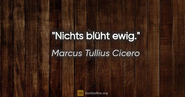 Marcus Tullius Cicero Zitat: "Nichts blüht ewig."