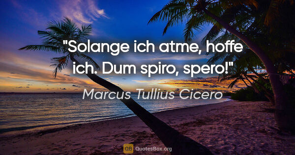 Marcus Tullius Cicero Zitat: "Solange ich atme, hoffe ich.

Dum spiro, spero!"