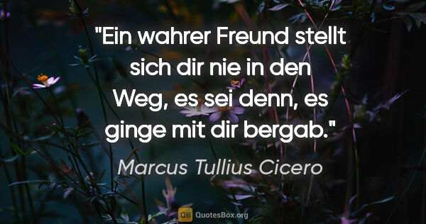 Marcus Tullius Cicero Zitat: "Ein wahrer Freund stellt sich dir nie in den Weg, es sei denn,..."