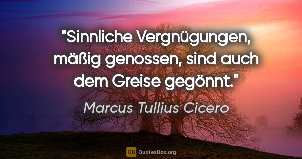 Marcus Tullius Cicero Zitat: "Sinnliche Vergnügungen, mäßig genossen,
sind auch dem Greise..."