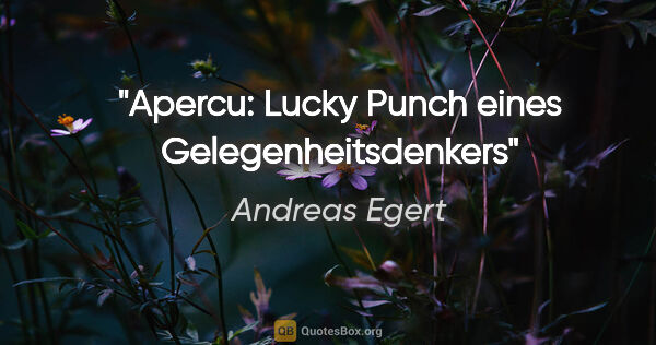 Andreas Egert Zitat: "Apercu: Lucky Punch eines Gelegenheitsdenkers"