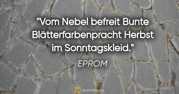 EPROM Zitat: "Vom Nebel befreit

Bunte Blätterfarbenpracht

Herbst im..."