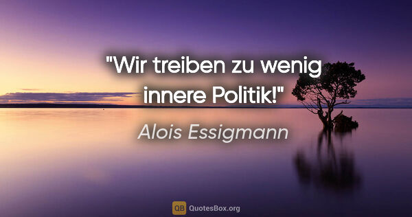 Alois Essigmann Zitat: "Wir treiben zu wenig innere Politik!"