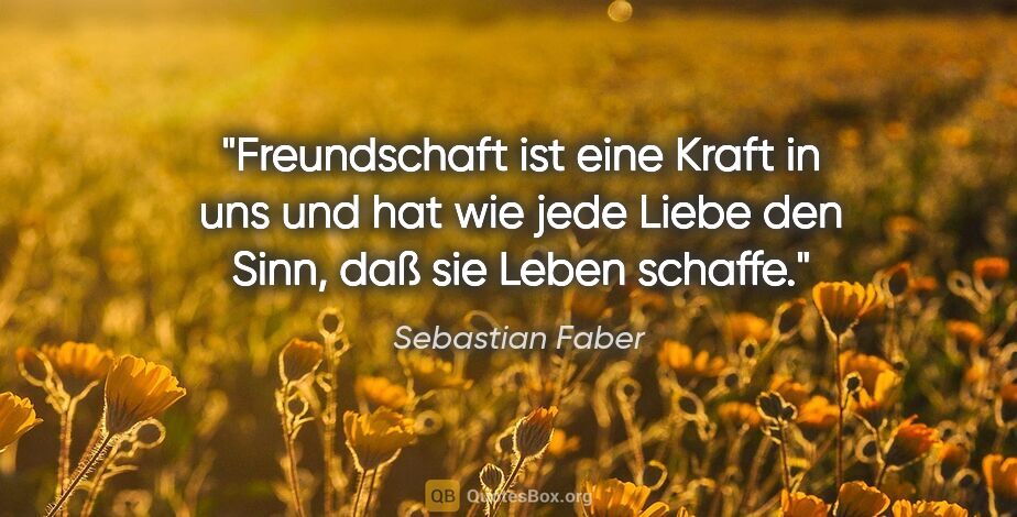 Sebastian Faber Zitat: "Freundschaft ist eine Kraft in uns und hat wie jede Liebe den..."