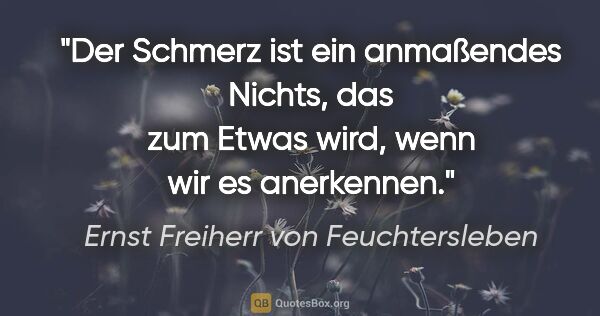 Ernst Freiherr von Feuchtersleben Zitat: "Der Schmerz ist ein anmaßendes »Nichts«,
das zum »Etwas« wird,..."