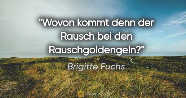 Brigitte Fuchs Zitat: "Wovon kommt denn der Rausch bei den Rauschgoldengeln?"