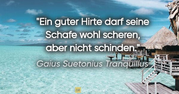 Gaius Suetonius Tranquillus Zitat: "Ein guter Hirte darf seine Schafe wohl scheren, aber nicht..."