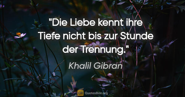 Khalil Gibran Zitat: "Die Liebe kennt ihre Tiefe nicht bis zur Stunde der Trennung."