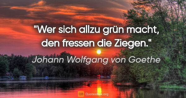 Johann Wolfgang von Goethe Zitat: "Wer sich allzu grün macht, den fressen die Ziegen."