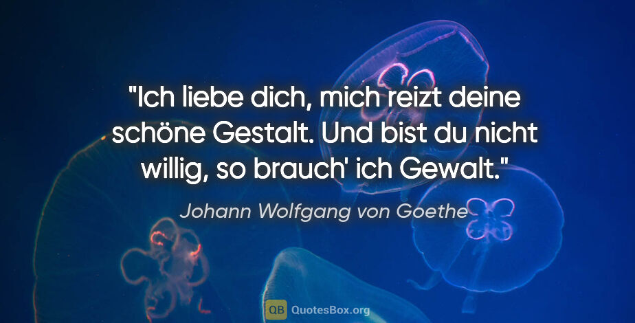 Goethe zitat liebe
