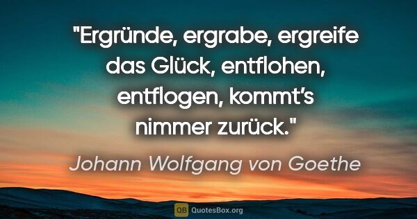 Johann Wolfgang von Goethe Zitat: "Ergründe, ergrabe, ergreife das..."