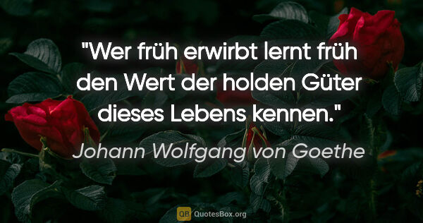Johann Wolfgang von Goethe Zitat: "Wer früh erwirbt lernt früh den Wert der holden Güter dieses..."