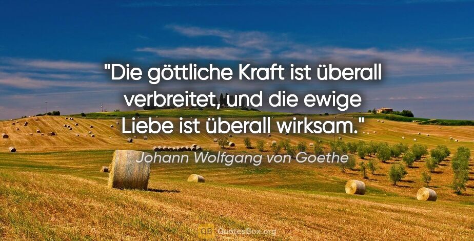 Johann Wolfgang von Goethe Zitat: "Die göttliche Kraft ist überall verbreitet, und die ewige..."