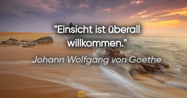 Johann Wolfgang von Goethe Zitat: "Einsicht ist überall willkommen."
