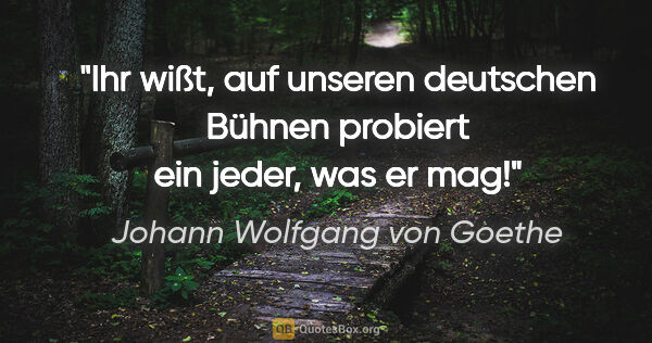 Johann Wolfgang von Goethe Zitat: "Ihr wißt, auf unseren deutschen Bühnen probiert ein jeder, was..."