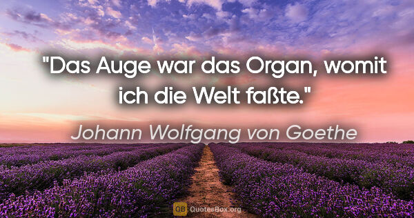 Johann Wolfgang von Goethe Zitat: "Das Auge war das Organ, womit ich die Welt faßte."