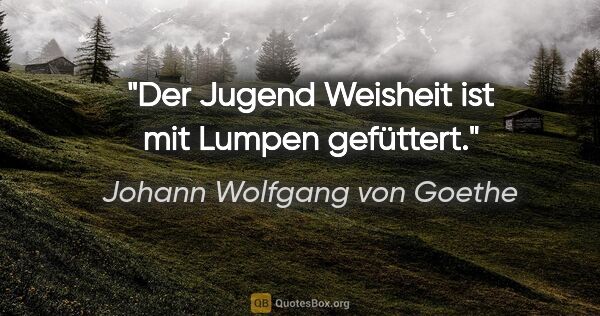 Johann Wolfgang von Goethe Zitat: "Der Jugend Weisheit ist mit Lumpen gefüttert."