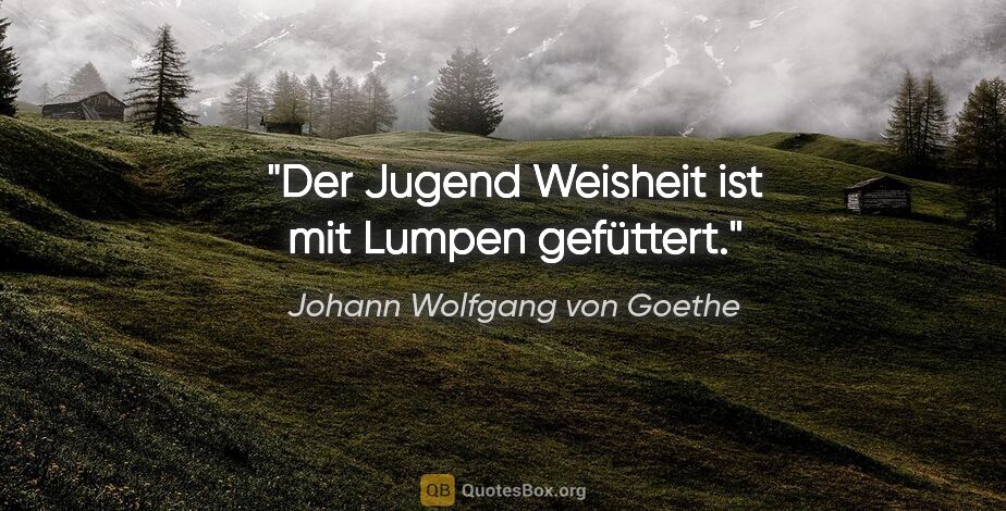Johann Wolfgang von Goethe Zitat: "Der Jugend Weisheit ist mit Lumpen gefüttert."