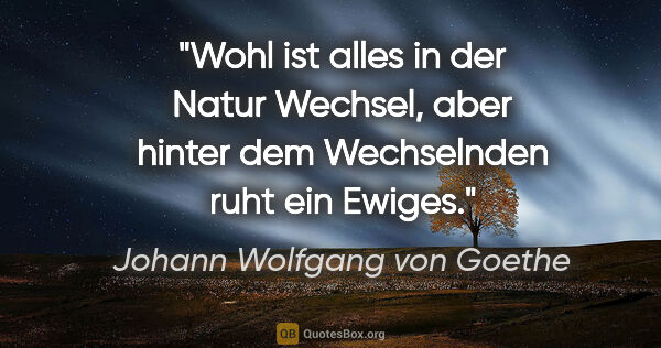 Johann Wolfgang von Goethe Zitat: "Wohl ist alles in der Natur Wechsel, aber hinter dem..."