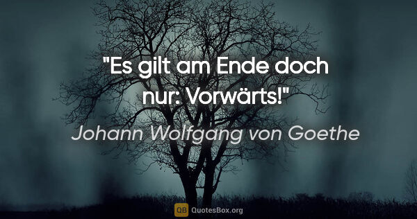 Johann Wolfgang von Goethe Zitat: "Es gilt am Ende doch nur: Vorwärts!"