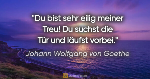 Johann Wolfgang von Goethe Zitat: "Du bist sehr eilig meiner Treu!

Du suchst die Tür und läufst..."