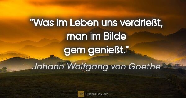 Johann Wolfgang von Goethe Zitat: "Was im Leben uns verdrießt,
man im Bilde gern genießt."