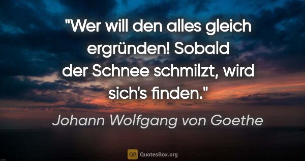 Johann Wolfgang von Goethe Zitat: "Wer will den alles gleich ergründen!
Sobald der Schnee..."