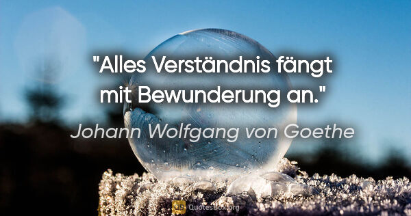 Johann Wolfgang von Goethe Zitat: "Alles Verständnis fängt mit Bewunderung an."