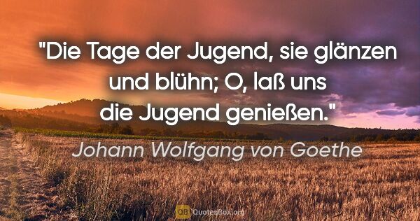 Johann Wolfgang von Goethe Zitat: "Die Tage der Jugend, sie glänzen und blühn;
O, laß uns die..."