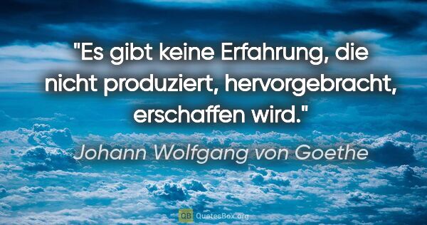 Johann Wolfgang von Goethe Zitat: "Es gibt keine Erfahrung, die nicht produziert, hervorgebracht,..."