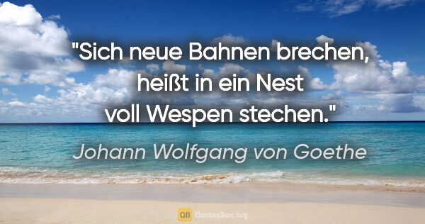 Johann Wolfgang von Goethe Zitat: "Sich neue Bahnen brechen,
heißt in ein Nest voll Wespen stechen."