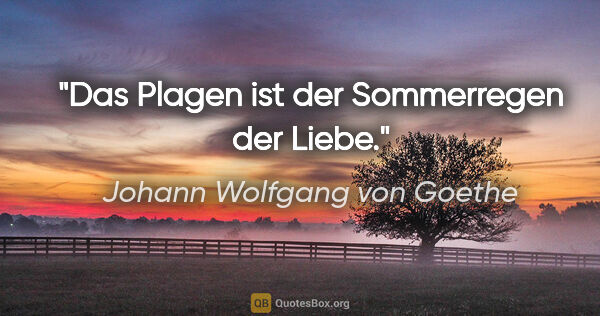 Johann Wolfgang von Goethe Zitat: "Das Plagen ist der Sommerregen der Liebe."