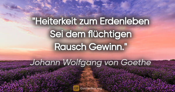 Johann Wolfgang von Goethe Zitat: "Heiterkeit zum Erdenleben
Sei dem flüchtigen Rausch Gewinn."