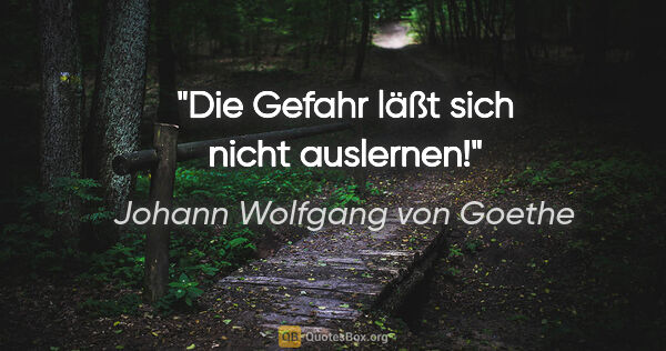 Johann Wolfgang von Goethe Zitat: "Die Gefahr läßt sich nicht auslernen!"