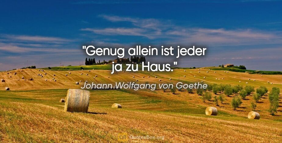 Johann Wolfgang von Goethe Zitat: "Genug allein ist jeder ja zu Haus."