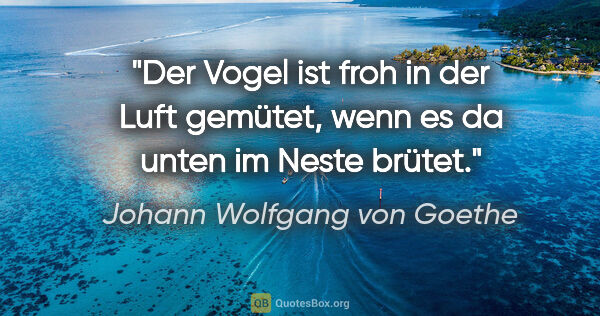 Johann Wolfgang von Goethe Zitat: "Der Vogel ist froh in der Luft gemütet,
wenn es da unten im..."