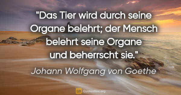 Johann Wolfgang von Goethe Zitat: "Das Tier wird durch seine Organe belehrt; der Mensch belehrt..."