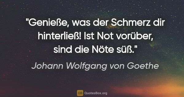 Johann Wolfgang von Goethe Zitat: "Genieße, was der Schmerz dir hinterließ!
Ist Not vorüber, sind..."