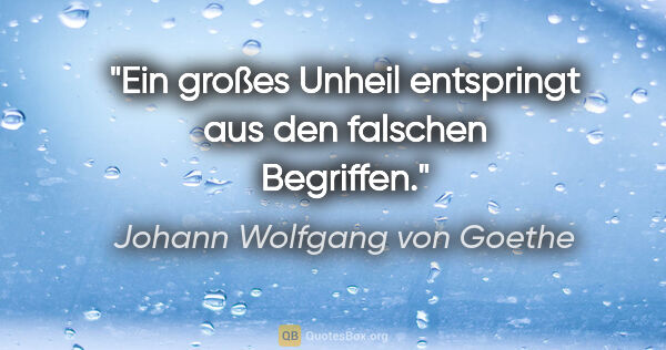 Johann Wolfgang von Goethe Zitat: "Ein großes Unheil entspringt aus den falschen Begriffen."