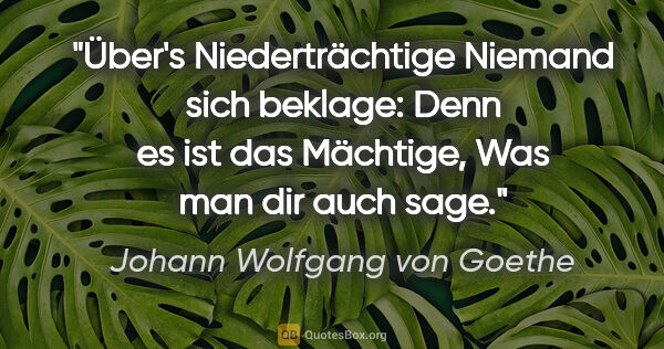 Johann Wolfgang von Goethe Zitat: "Über's Niederträchtige
Niemand sich beklage:
Denn es ist das..."