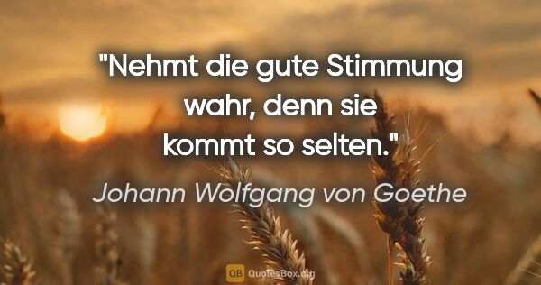 Johann Wolfgang von Goethe Zitat: "Nehmt die gute Stimmung wahr, denn sie kommt so selten."