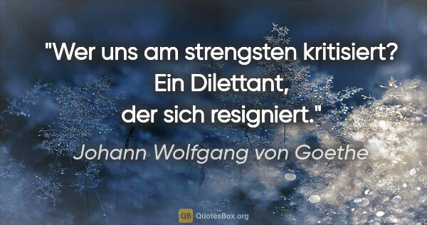 Johann Wolfgang von Goethe Zitat: "Wer uns am strengsten kritisiert?
Ein Dilettant, der sich..."