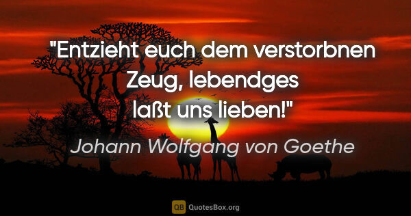 Johann Wolfgang von Goethe Zitat: "Entzieht euch dem verstorbnen Zeug, lebendges laßt uns lieben!"