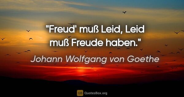 Johann Wolfgang von Goethe Zitat: "Freud' muß Leid, Leid muß Freude haben."