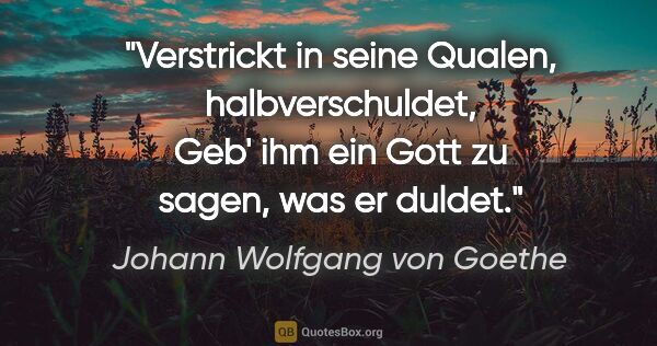 Johann Wolfgang von Goethe Zitat: "Verstrickt in seine Qualen, halbverschuldet,
Geb' ihm ein Gott..."