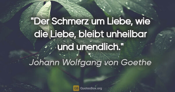 Johann Wolfgang von Goethe Zitat: "Der Schmerz um Liebe, wie die Liebe,
bleibt unheilbar und..."