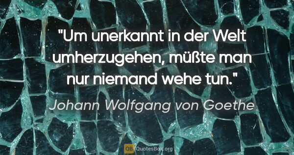 Johann Wolfgang von Goethe Zitat: "Um unerkannt in der Welt umherzugehen, müßte man nur niemand..."