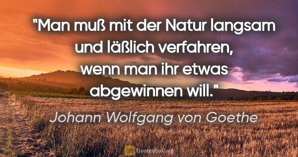 Johann Wolfgang von Goethe Zitat: "Man muß mit der Natur langsam und läßlich verfahren, wenn man..."