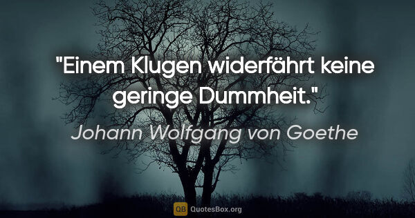 Johann Wolfgang von Goethe Zitat: "Einem Klugen widerfährt keine geringe Dummheit."